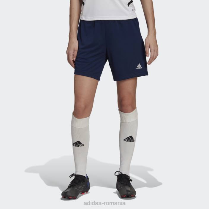 Adidas pantaloni scurți de antrenament albastru bleumarin entrada 22 adidas femei albastru marin 2JBN17403