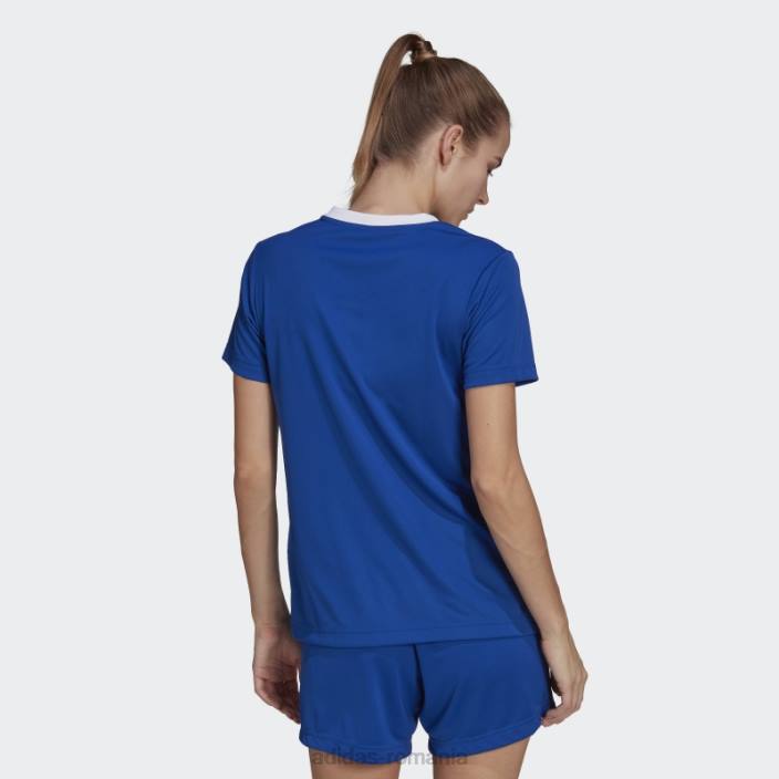 Adidas tricou albastru regal entrada 22 femei albastru regal 2JBN17201