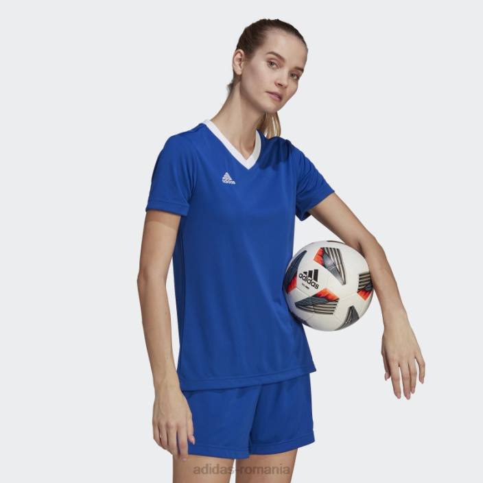 Adidas tricou albastru regal entrada 22 femei albastru regal 2JBN17201