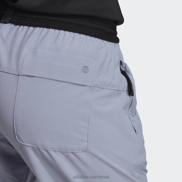 Adidas argintiu violet terrex liteflex pantaloni de trening drumeții femei violet argintiu 2JBN16996