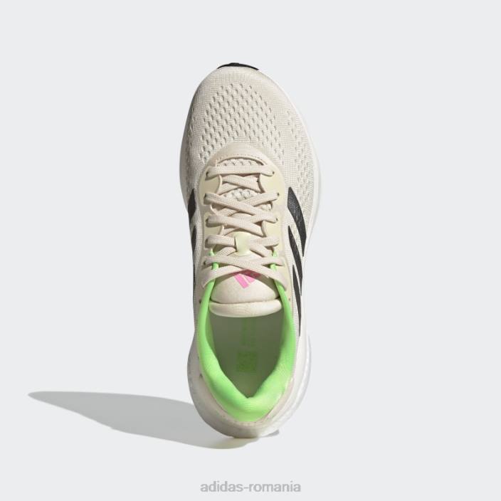 Adidas pantofi de alergare ecru tint supernova 2 femei nuanță ecru/metalic/verde 2JBN16211