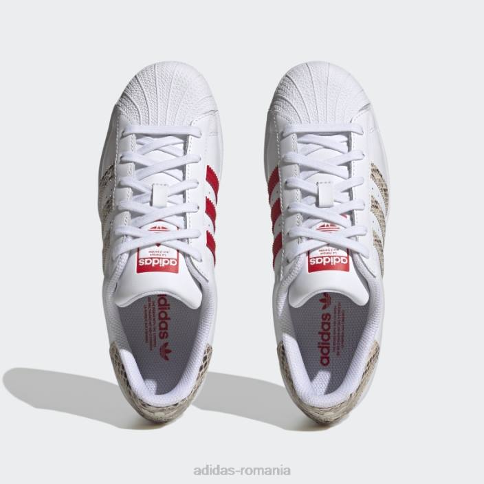Adidas pantofi de superstar stacojiu femei alb/stacojiu 2JBN8372