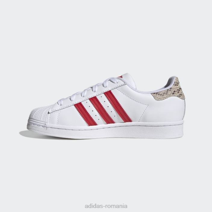 Adidas pantofi de superstar stacojiu femei alb/stacojiu 2JBN8372