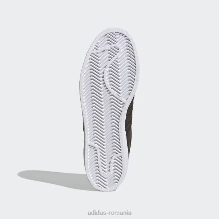 Adidas pantofi superstar maro noapte femei maro noapte/alb 2JBN22159