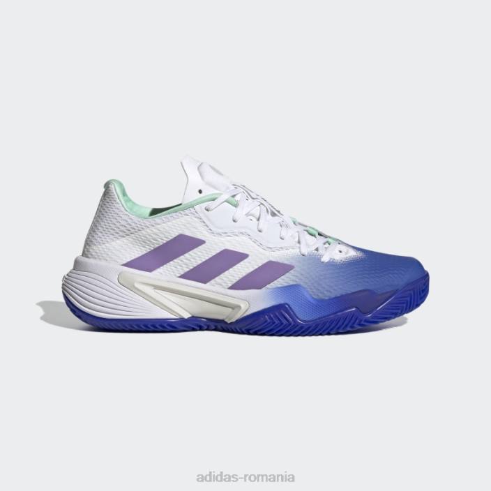Adidas pantofi de tenis adidas pentru terenul de zgura baricade albastru femei albastru/violet/mentă 2JBN16101
