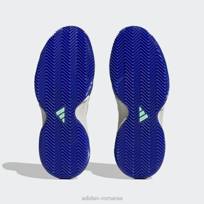 Adidas pantofi de tenis adidas pentru terenul de zgura baricade albastru femei albastru/violet/mentă 2JBN16101