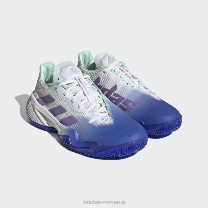 Adidas pantofi de tenis adidas pentru terenul de zgura baricade albastru femei albastru/violet/mentă 2JBN16101