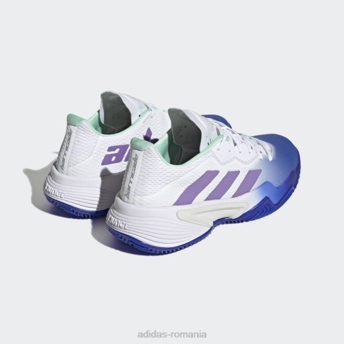 Adidas pantofi de tenis adidas pentru terenul de zgura baricade albastru femei albastru/violet/mentă 2JBN16101