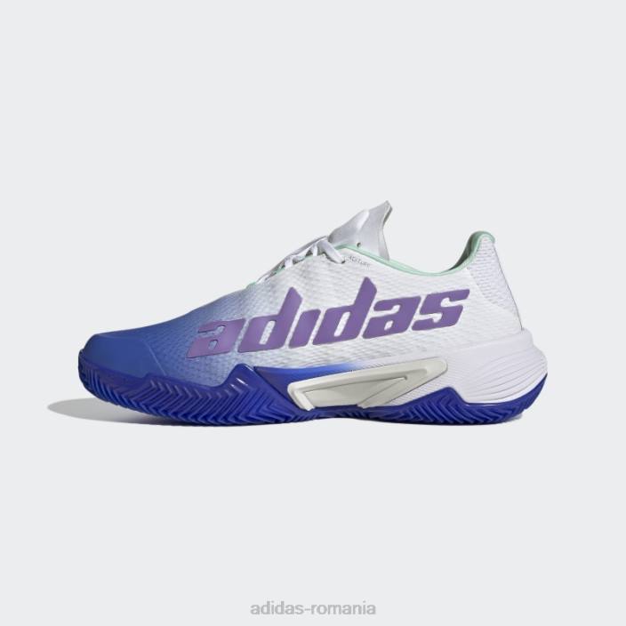 Adidas pantofi de tenis adidas pentru terenul de zgura baricade albastru femei albastru/violet/mentă 2JBN16101