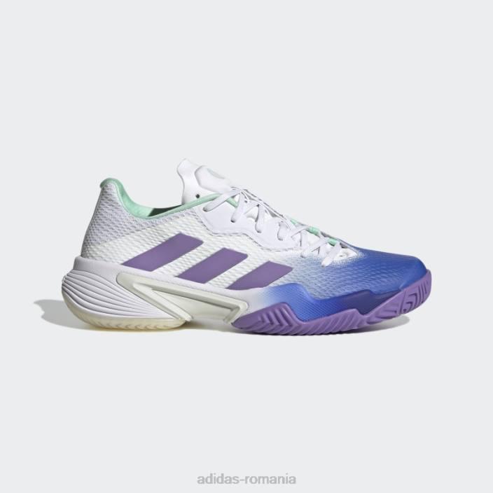Adidas pantofi de tenis baricade albastru femei albastru/violet/mentă 2JBN8498
