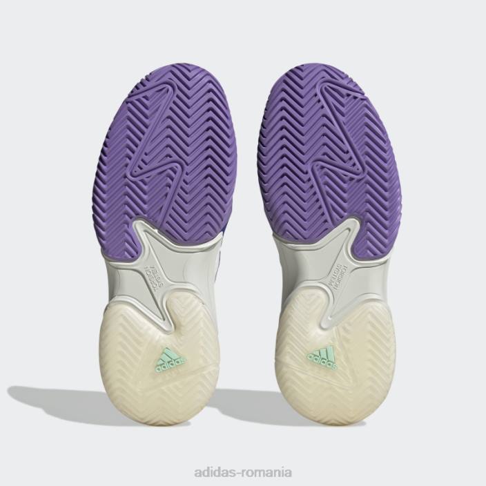 Adidas pantofi de tenis baricade menta femei albastru/violet/mentă 2JBN1993