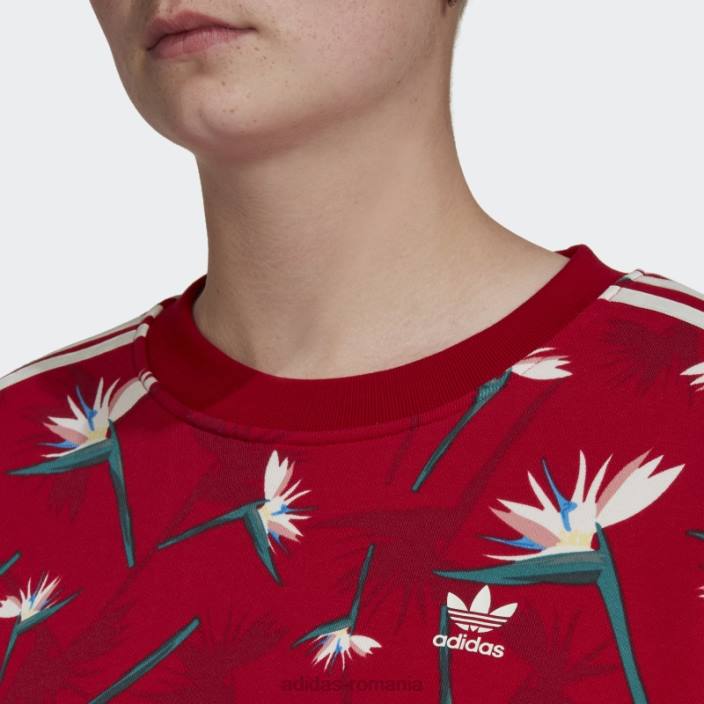 Adidas thebe magugu crew pulover roșu femei roșu/multicolor 2JBN23228