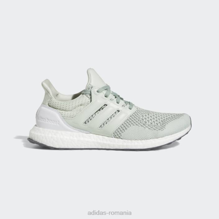 Adidas pantofi ultraboost 1.0 verzi unisex verde/verde argintiu 2JBN12818